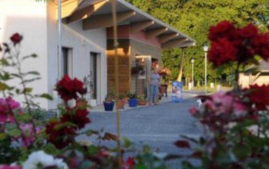 Camping Au Bord De L'Aisne Guignicourt Exteriér fotografie